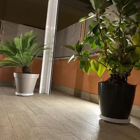 Welcome To Baldo 度假居 *